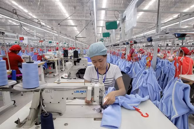 Participación activa de Vietnam en elaborar nuevas reglas comerciales globales ảnh 1