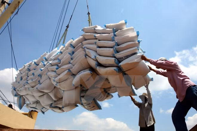 Necesita Indonesia importar un millón de toneladas del arroz de Vietnam ảnh 1