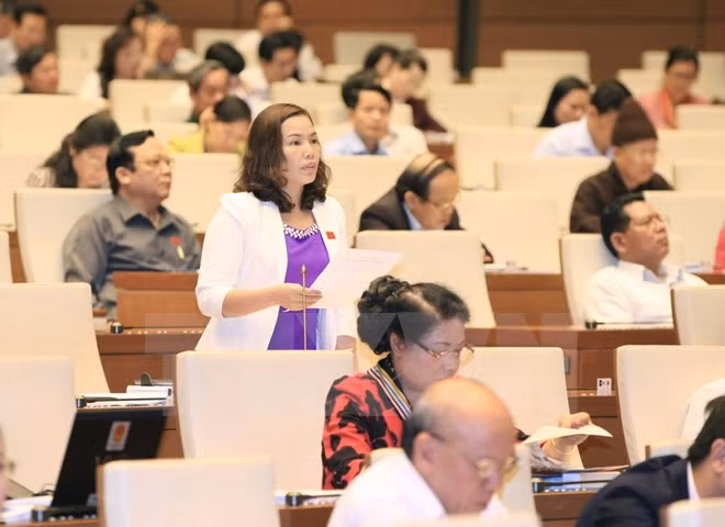 Traza Vietnam medidas para proteger a niños de los peligros de internet ảnh 1