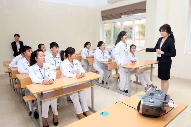 Japón intensifica cooperación laboral y de salud con Vietnam ảnh 1