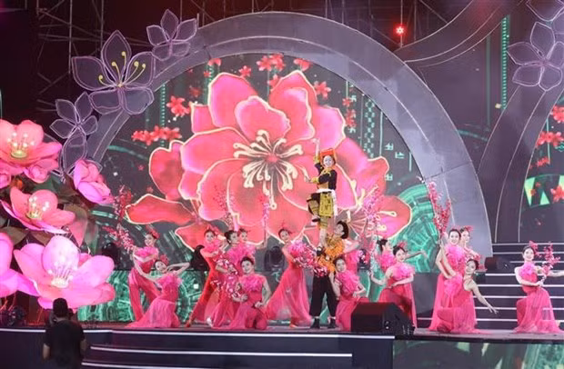 Celebran Festival de flor de durazno en provincia norvietnamita de Lang Son ảnh 1