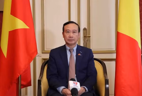 Vietnam, UE y Bélgica promueven cooperación verde y sostenible ảnh 2