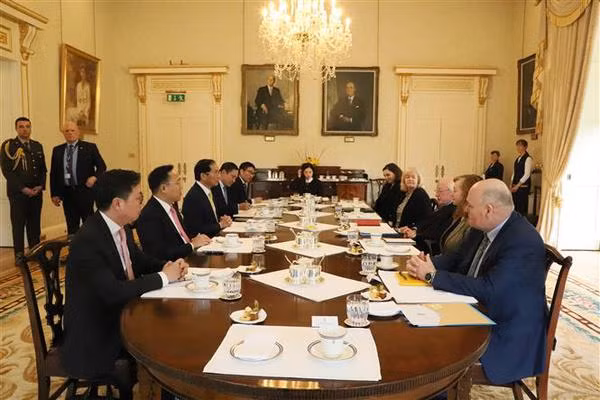 Irlanda concede gran importancia a papel de Vietnam en Asia-Pacífico ảnh 2