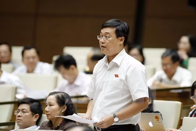 Debuta Grupo de jóvenes diputados de la Asamblea Nacional de Vietnam ảnh 1