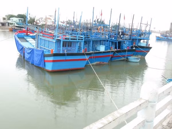 Aumentan flota pesquera de provincia centrovietnamita de Thanh Hoa ảnh 1
