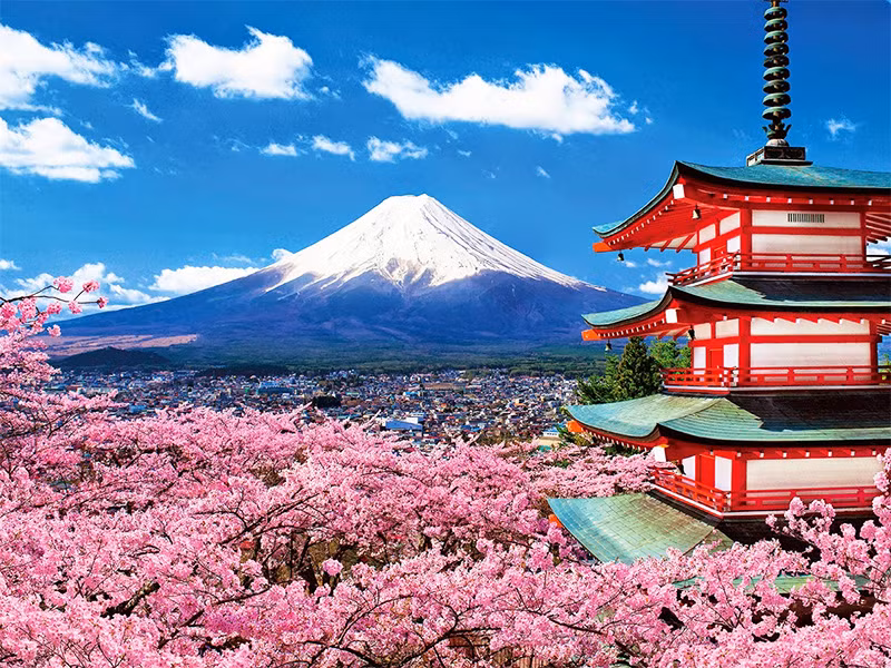 Japón abrirá oficina representativa en Vietnam para promover turismo ảnh 1