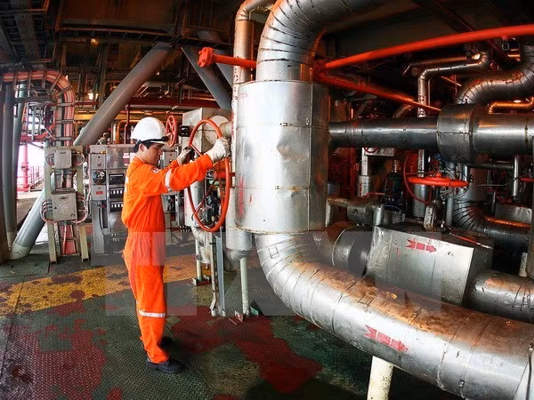 Rusia y Vietnam amplían cooperación en explotación petrolera ảnh 1