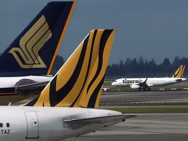 Singapur y Japón promueven lazos en gestión del tráfico aéreo ảnh 1