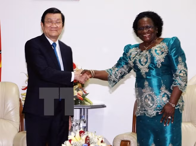 Amplia agenda de encuentros del presidente vietnamita en Mozambique ảnh 1