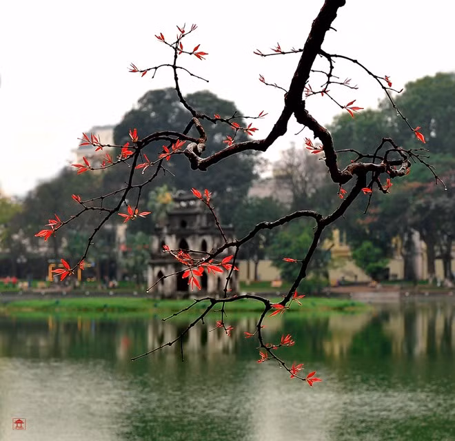 Maratón internacional promocionará patrimonios culturales de Hanoi ảnh 1