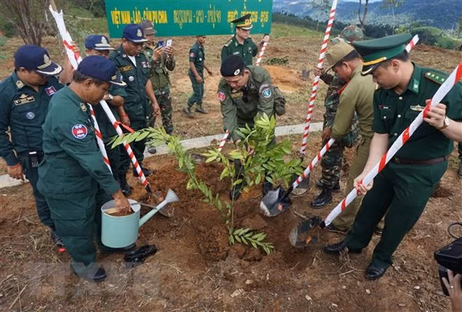 Intensifican relaciones multifacéticas entre Vietnam, Laos y Camboya ảnh 1
