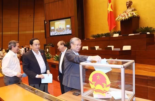 Legisladores vietnamitas emiten votos de confianza en cuarta jornada del VI período de sesiones ảnh 1