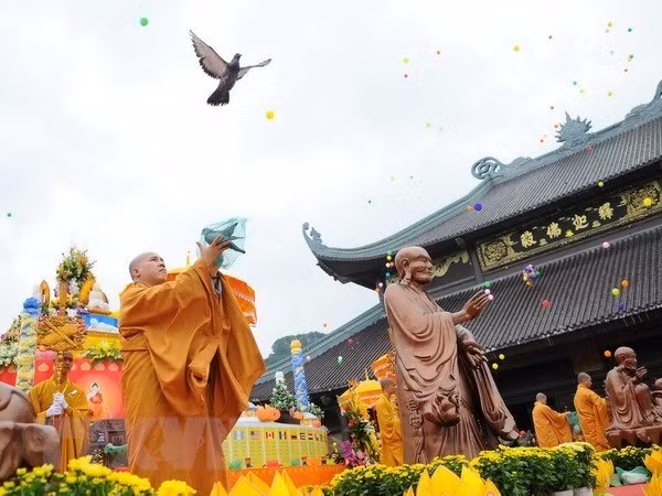Vietnam acogerá Día de Vesak de las Naciones Unidas en 2019 ảnh 1