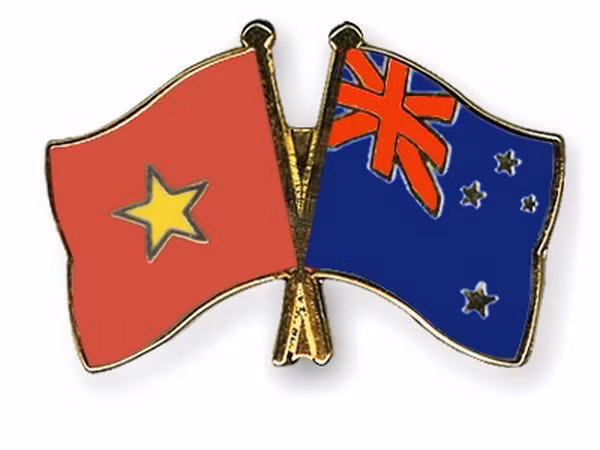 Promueven nexos entre Vietnam y Fuerza de Amistad Internacional ảnh 1