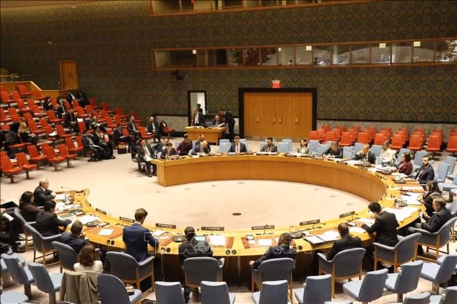 Vietnam llama a continua reforma de ONU basada en prioridades de los países ảnh 1