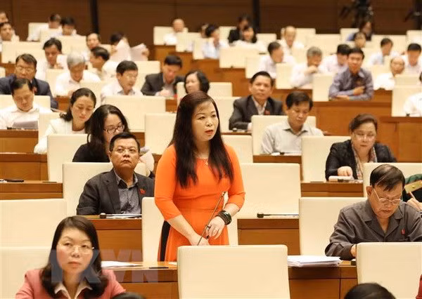 Diputados vietnamitas proponen estrategias para resolver insuficiencias de proyectos de inversión pública ảnh 1