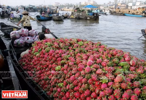 Indonesia promueve cooperación con provincia vietnamita de Can Tho ảnh 1