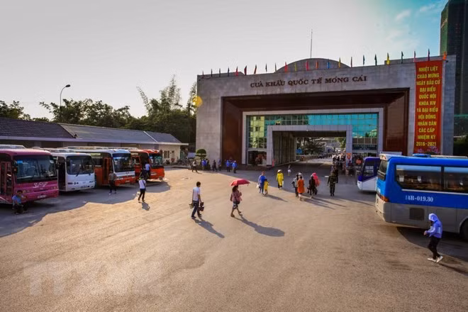 Provincia norvietnamita de Quang Ninh logra el mayor crecimiento económico ảnh 1