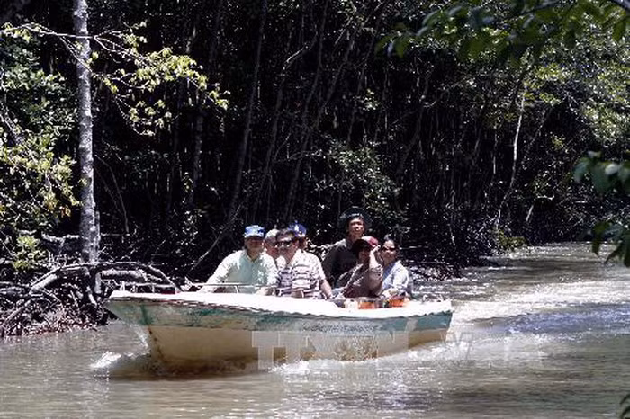 Promueven ecoturismo rural en Ciudad Ho Chi Minh ảnh 1