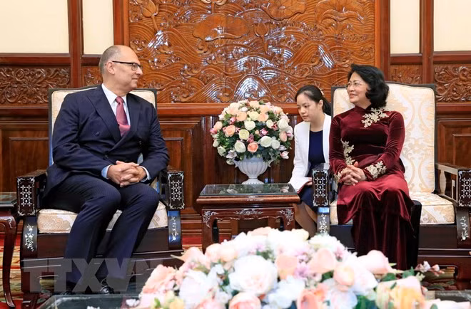 Presidenta interina de Vietnam recibe a embajadores de Países Bajos, Bélgica y Dinamarca ảnh 3