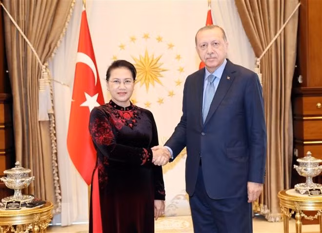 Presidente de Turquía afirma que su país aspira a firmar TLC con Vietnam , ảnh 1
