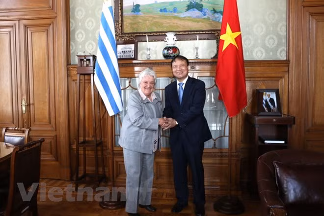 Vicepresidenta de Uruguay aboga por estrechar vínculos con Vietnam ảnh 1