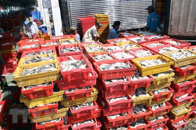 Comisión de Pesca del Parlamento Europeo valora esfuerzos de Vietnam por levantar tarjeta amarilla ảnh 1