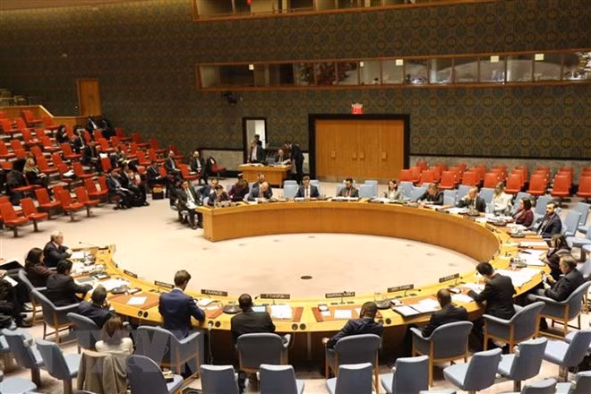 Vietnam expresa preocupación en ONU por escalada del conflicto en Franja de Gaza ảnh 1