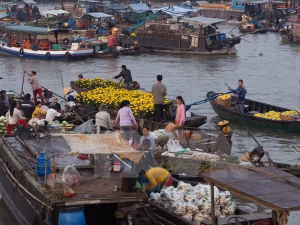 Ciudad survietnamita de Can Tho aspira a convertir turismo en sector clave ảnh 1