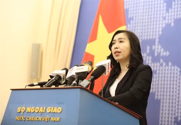 Empeñado Vietnam en garantizar la protección ciudadana en Oriente Medio y Rusia ảnh 1