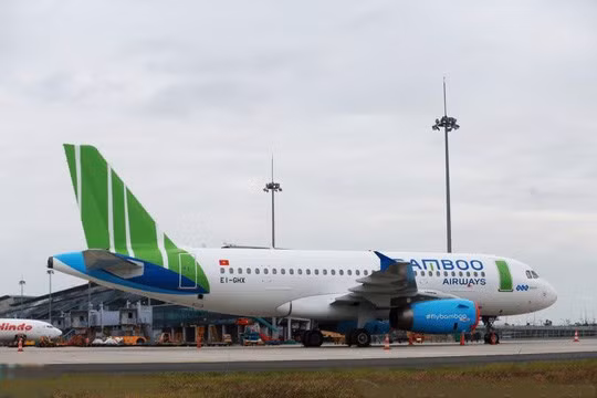 Obtiene Bamboo Airways ganancia de más de 13 millones de USD en 2019 ảnh 1