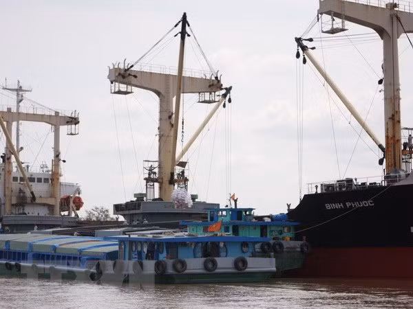 Apunta Vietnam a promover potencialidades de empresas navieras nacionales ảnh 1