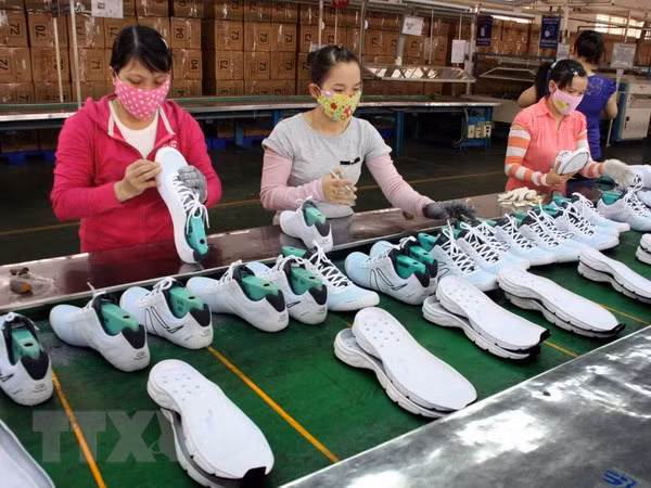 Sector del calzado de Vietnam prevé ingresar fondo multimillonario por exportaciones en 2020 ảnh 1