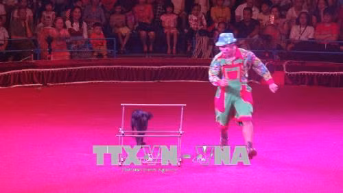 Celebrarán en Ciudad Ho Chi Minh Gala Internacional de Circo 2020 ảnh 1