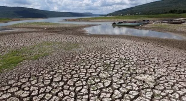 Severa sequía en 2020 provocará aumento de precios de productos agrícolas de Tailadia ảnh 1