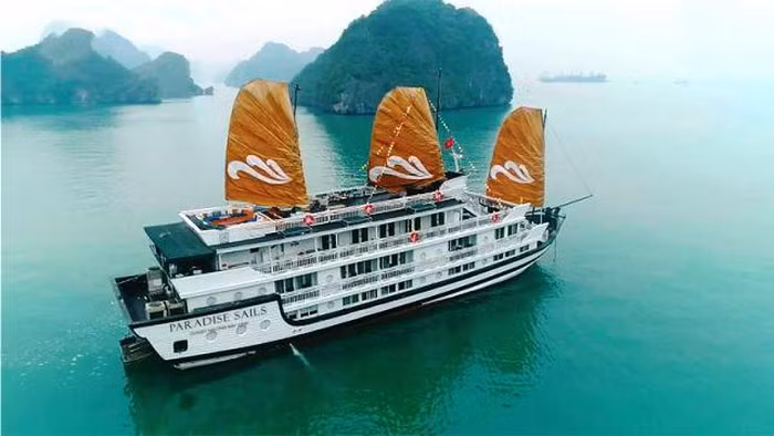 Lanzan crucero Paradise Sails en Bahía de Ha Long ảnh 1