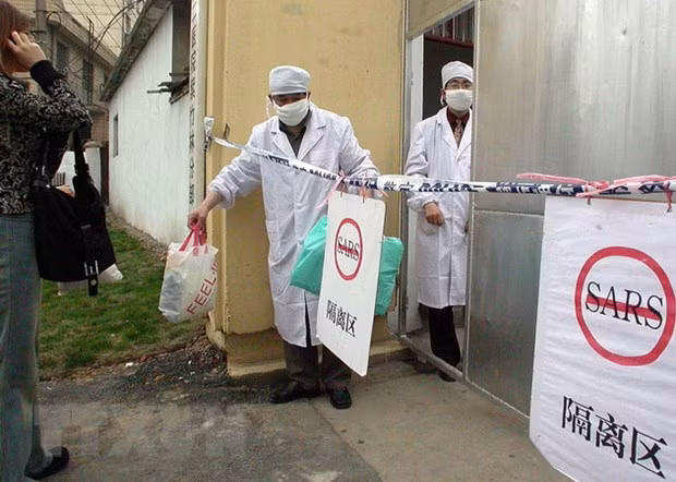 Refuerzan en Vietnam prevención de propagación de neumonía aguda de China ảnh 1