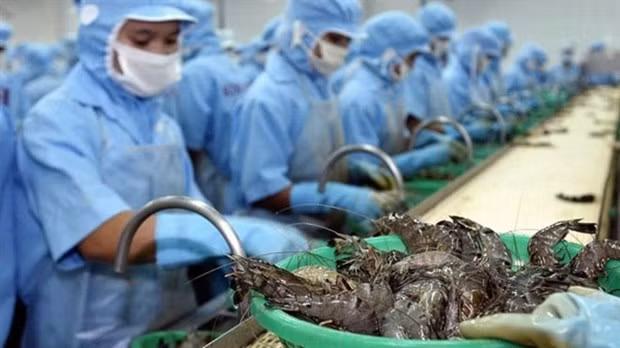 Exportaciones de camarones de Vietnam a Australia registraron fuerte aumento en 2019 ảnh 1
