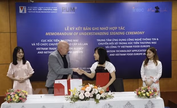 Vietnam y Países Bajos promueven exportaciones a través del entorno digital ảnh 1
