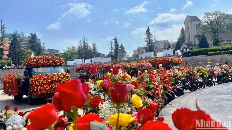 Inauguran mayor festival de rosas del noroeste en Vietnam ảnh 1