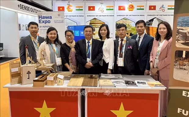 Seminario para actualizar a empresas vietnamitas sobre nueva política de comercio exterior de India ảnh 1