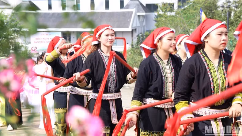 Inauguran mayor festival de rosas del noroeste en Vietnam ảnh 3