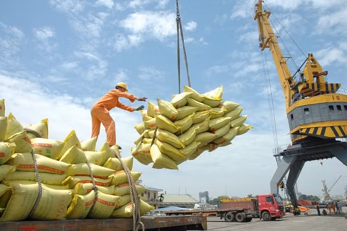 Vietnam aspira a ingresar unos 30 mil millones de dólares por exportaciones de alimentos para 2030 ảnh 2