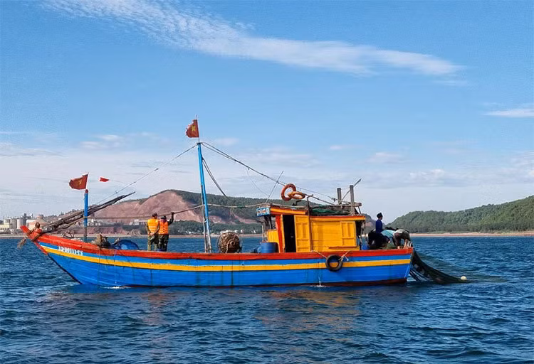 Provincia vietnamita de Nghe An controla estrictamente actividades de pesca ilegal ảnh 1