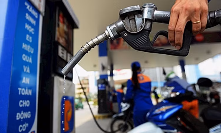 Prevén reajuste a la baja de precios de gasolina en Vietnam ảnh 1
