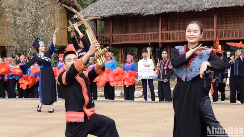 Inauguran mayor festival de rosas del noroeste en Vietnam ảnh 4