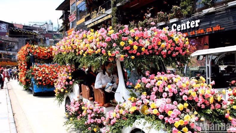 Inauguran mayor festival de rosas del noroeste en Vietnam ảnh 2