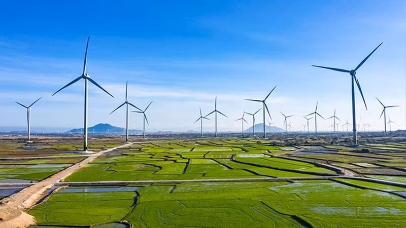 Vietnam por ampliar escala de la economía verde a 300 mil millones de dólares para 2050 ảnh 1