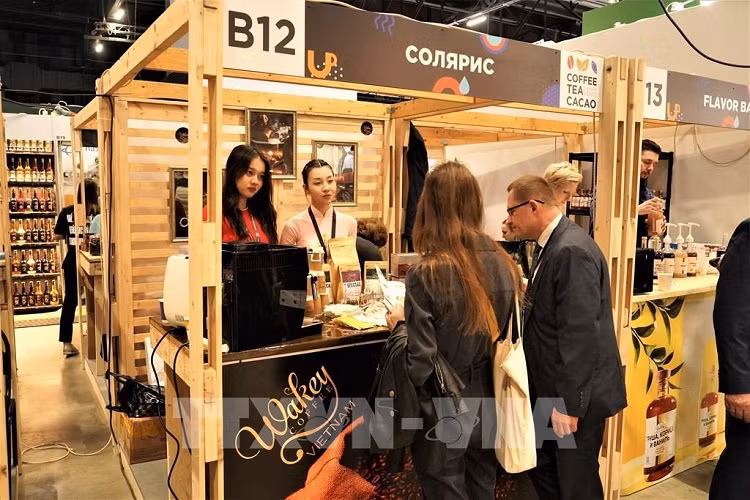 Empresa vietnamita busca penetrar al mercado de café ruso ảnh 1