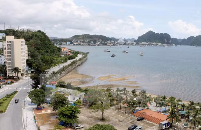 Quang Ninh establece comité organizador del Año nacional del Turismo ảnh 1